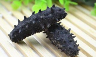 怎么挑海参 怎么挑海参